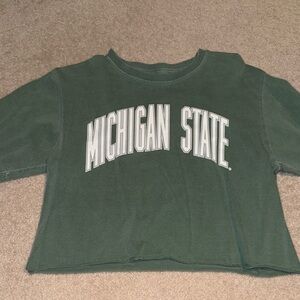 Green Michigan State Crop Top